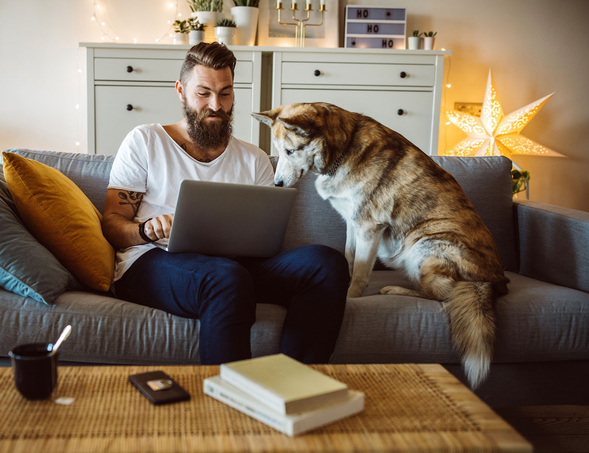 young man and husky, sitting casually on a couch working on the laptop