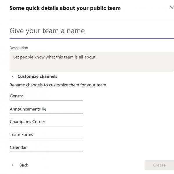 Displays the fields to input your team name, descriptions, and customize channels