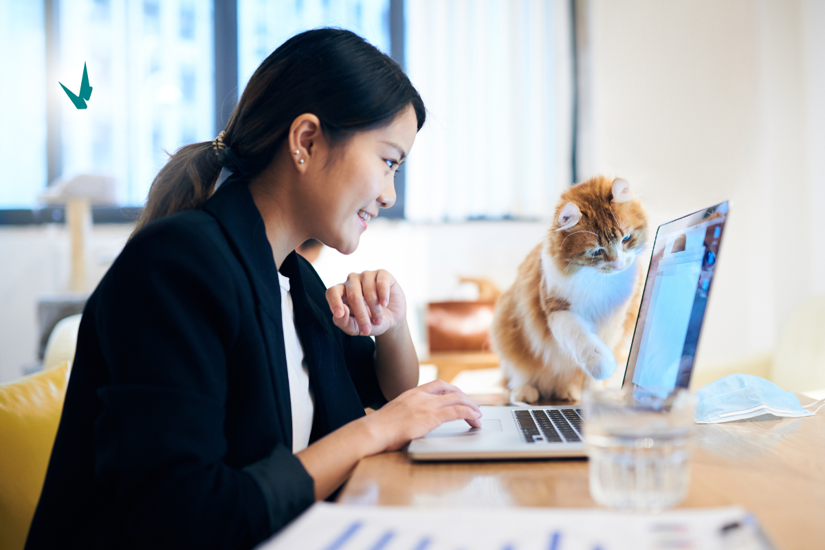 asian woman wearing a blazer working on her laptop in a remote work scenario. her cat pats at the screens while she works