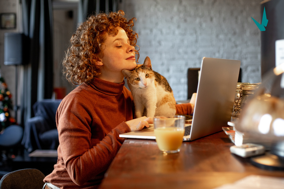Woman and cat looking at a laptop